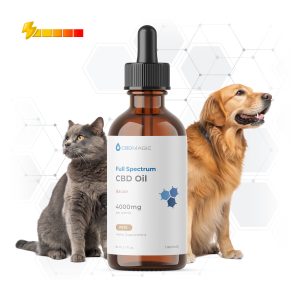 cm-full-spectrum-cbd-pets-oil-4000mg-new-bacon Full Spectrum CBD Oil for Pets 4000mg Bacon Flavor