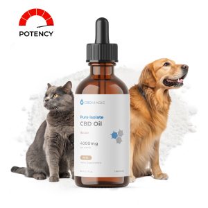 Pure CBD Oil for Pets 4000mg Bacon
