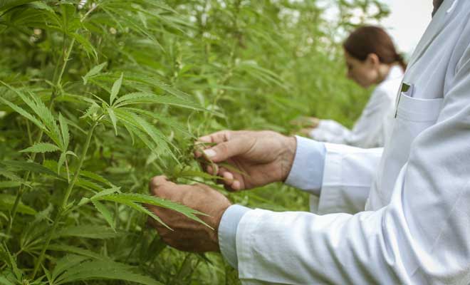 Over 50+ Years of Combined Expertise